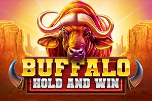 Buffalo Hold And Win at Slotroyals casino